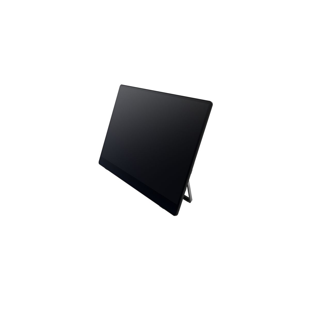 Ricoh Monitor portatile 150 [514909]