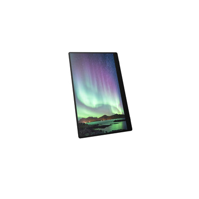 Ricoh Monitor portatile 150 [514909]