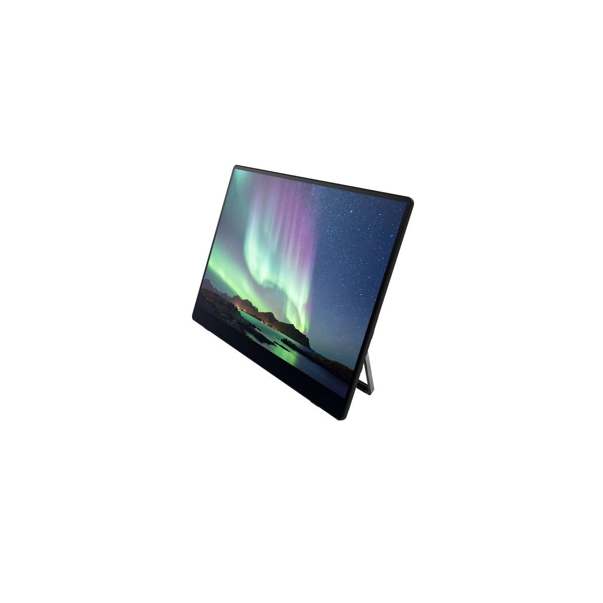 Ricoh Monitor portatile 150 [514909]