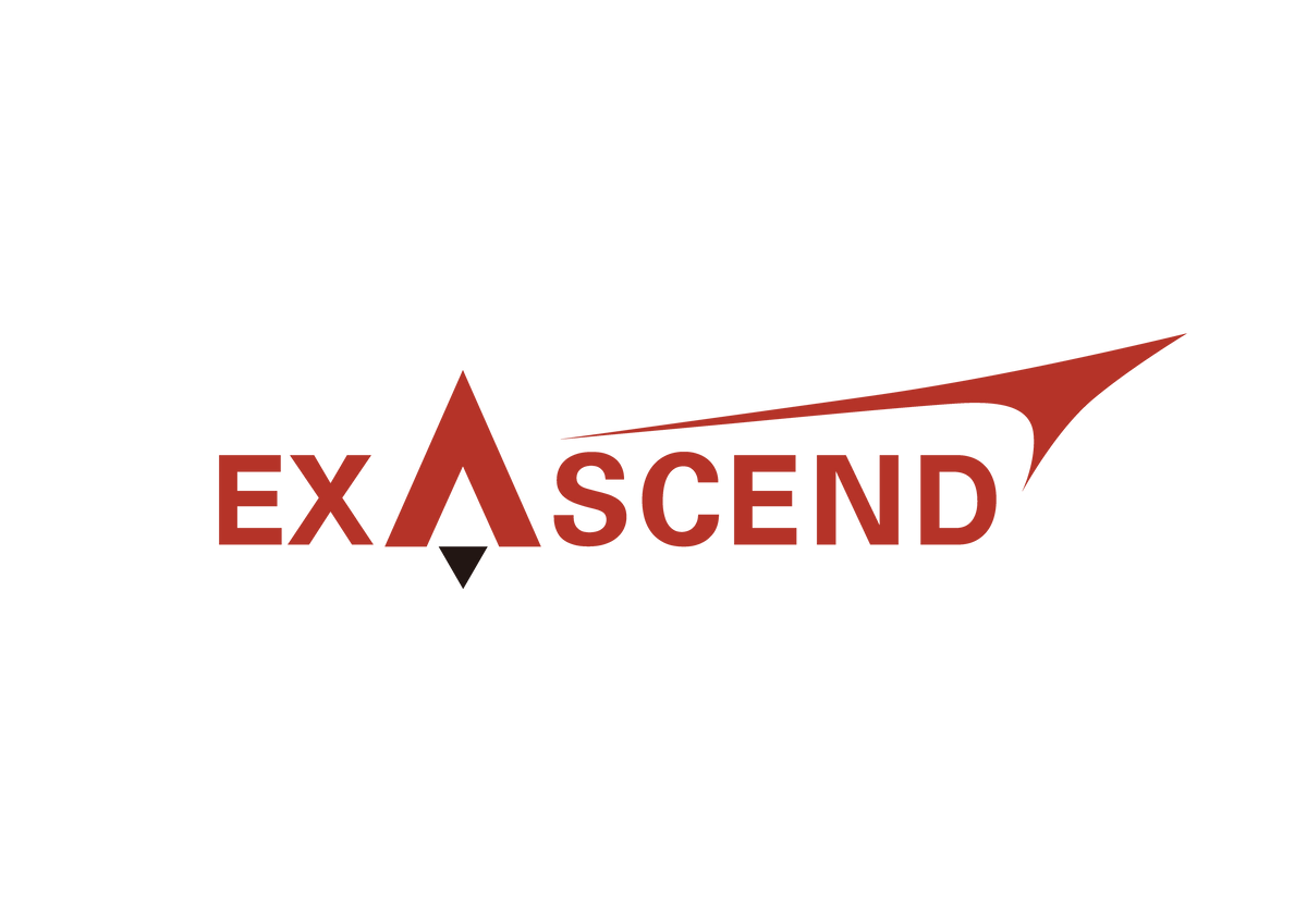 Exascend - Exascend PCIe Gen4 x4 NVMe 1.4 M.2 2280 SSD 960GB [EXPE4M960GB]