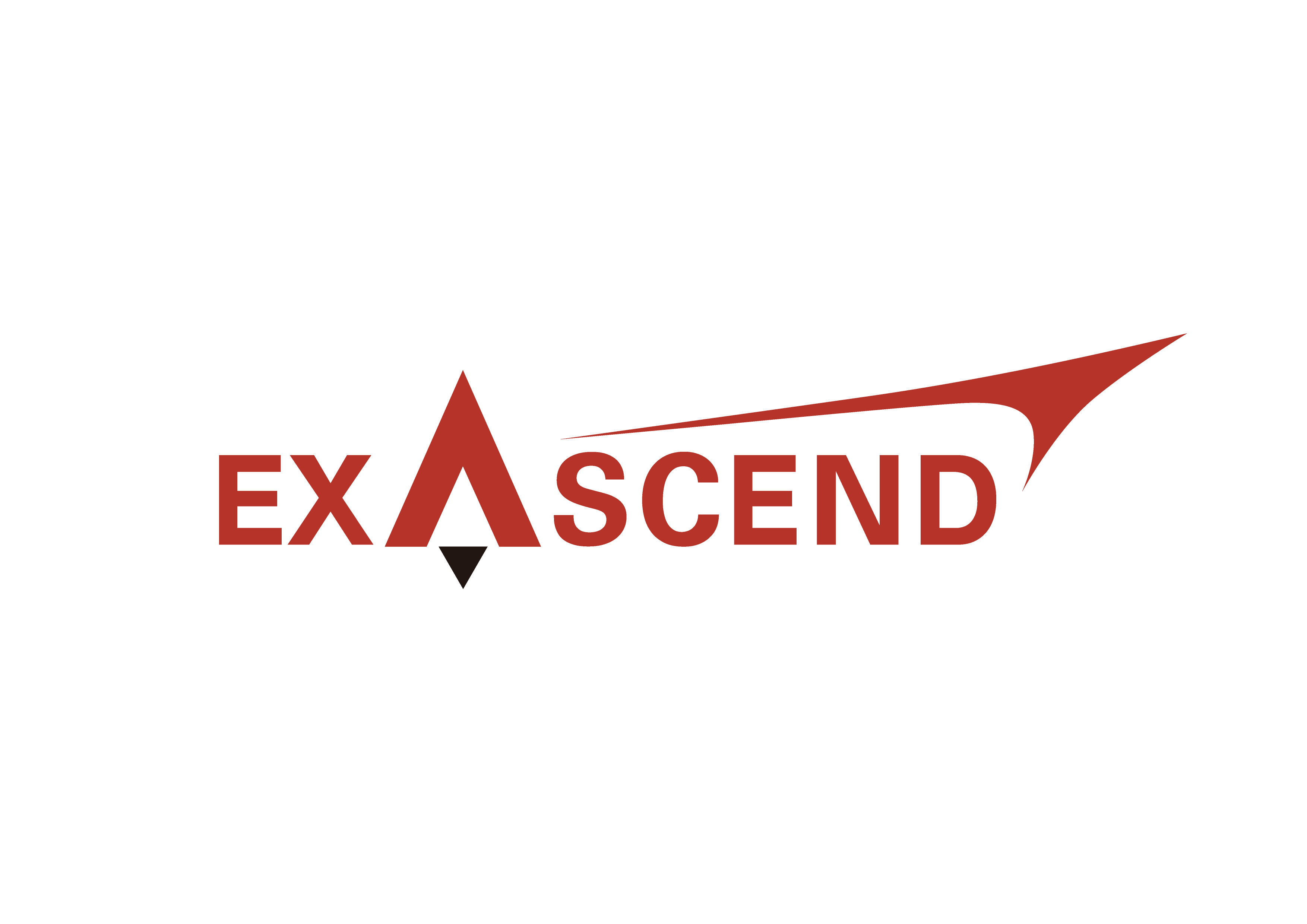 Exascend - Exascend PCIe Gen4 x4 NVMe 1.4 M.2 2280 SSD 960GB [EXPE4M960GB]
